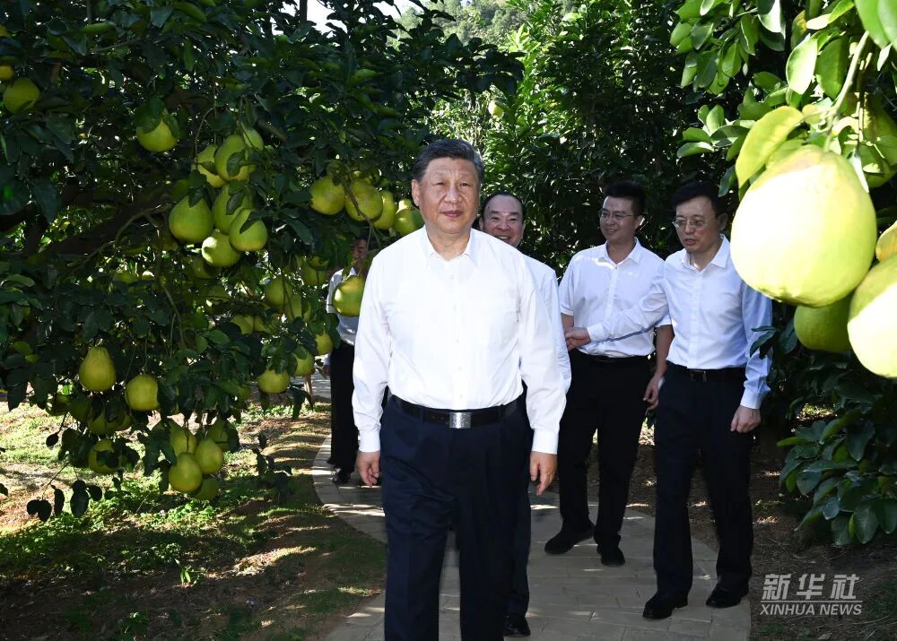 20251110084114_0937 俄罗斯·专享会294VIP(中国区)官方网站